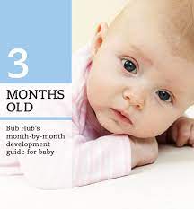 What he should be able to do: What Should My 3 Month Old Baby Be Doing 3 4 Month Milestones Bub Hub
