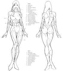 256,591,490 stock photos, vectors and videos. Pin By Viktoria Tomcheva On Human Figure Human Anatomy Drawing Anatomy Sketches Human Figure Drawing