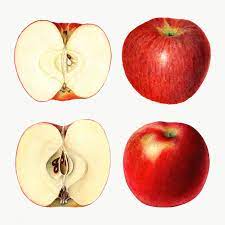 Download Premium Png Of Hand Drawn Sliced Red Apples Illustration 2296970 Apple Illustration Red Apple How To Draw Hands