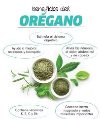 Propiedades Del Oregano Mira Cuantos Beneficios Frutas Y Verduras Beneficios Beneficios De Alimentos Salud Y Nutricion