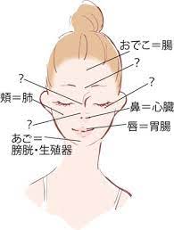 望診法って聞いたことありますか 中医学のひとつで顔にあらわれるホクロやイボ 吹き出物などから何を食 顔 吹き出物 医学