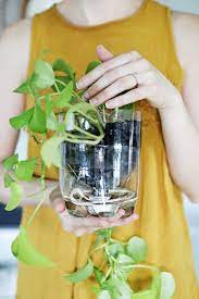 5 Self Watering Planter Hacks You Have To Try Self Watering Plants Diy Self Watering Planter Self Watering Planter