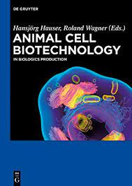 Stem cell cultures in the production of transgenic animals. Animal Cell Biotechnology In Biologics Production English Edition Ebook Hauser Hansjorg Wagner Roland Amazon De Kindle Shop