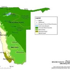 Image result for Dalbergia martinii