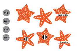 Download Starfish Svg Starfish Monogram Svg Star Fish Svg Cut Files 87439 Cut Files Design Bundles