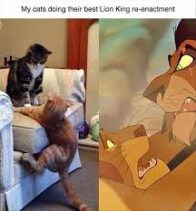 100 Disney Memes That Will Keep You Laughing For Hours Funny Animal Pictures Funny Animal Memes Funny Disney Memes