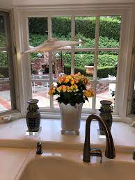 Sun Protection For Indoor Plants Patio Trees Shade Trees Plant Umbrella