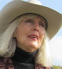 A New Collection for the Museum