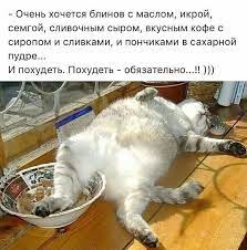 Pin on ЮМОР. Humor