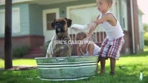 Check spelling or type a new query. Vet To Pet Mobile Services Your Veterinarian In Smithers Bc Serving The North