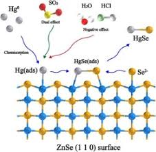 38/2017 din 27 ianuarie 2017. Molecular Level Insights Into Efficient Immobilization Of Gas Phase Elemental Mercury By Zinc Selenide Sciencedirect
