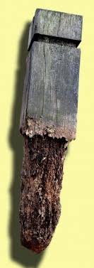The average cost of termite treatment ranges from around $200 at the low end to nearly $1,000 when there's a real problem. Lower Your Termite Treatment Cost The 2020 Price Guide