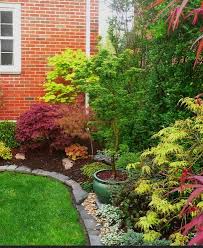 Pin On Japanese Maples