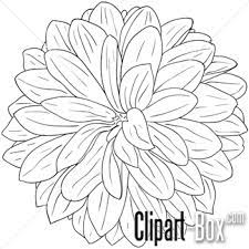 Clipart Dahlia Flower Sketch Style Royalty Free Vector Design Flower Sketches Flower Drawing Flower Tattoo Shoulder