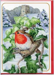 Pictoria Press 3d Pop Up Biglietto Di Auguri Di Natale Motivo Cinciarella Pettirosso Motivo Animali Amazo Dipinti Di Animali Dipingere Idee Auguri Natale