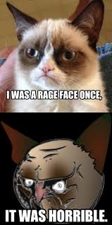 Pin By Christina Roghair On Fun Memes Grumpy Cat Cats And Kittens Funny Animals