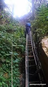 Mutiara taman negara resort menyediakan penginapan bagi pelawat yang ingin menginap di dalam kawasan taman negara. Jalan Ke Gunung Gunung Tahan