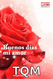 Cada nuevo amanecer es una oportunidad que dios nos da para poder estar con nuestros seres queridos y hacer las cosas que más nos…. Buenos Dias Mi Amor Gifs Tenor