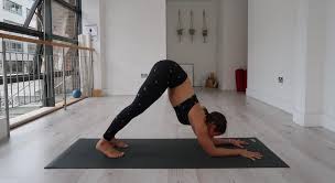 Maybe you would like to learn more about one of these? How To Pincha Mayurasana Forearm Stand In Yoga The Sports Edit Us