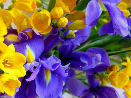 Immagini di buon compleanno con fiori. Foto Fiori 2 Per Sfondi