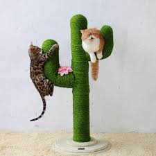 When bringing scratching posts into your home, your feline may not take to them straight away as. Sisal Rope Cat Scratching Post Diy Online Shopping