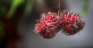 Small Testicles What Are The Causes Dangers And Effects
