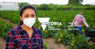 The files record interaction between the various voluntary homes and the government. Dhhs Info About The Surveillance Testing Program For Victorian Seasonal Horticulture Growers Ausveg
