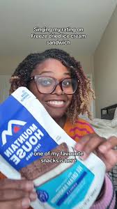 Mountain House Ice Cream Sandwich Review