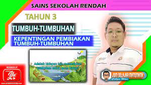 Kepentingan pembiakan tumbuhan kepada hidupan. Sains Tahun 3 Kepentingan Pembiakan Tumbuh Tumbuhan Cw055 Youtube