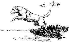 The cat was an indoor/outdoor the birds have well constructed houses (or cages) to keep them safe. Beagle Hunting Dog Bird Png Clipart Big Cats Bird Carnivoran Cartoon Cat Like Mammal Free Png