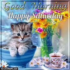 Funny pictures, videos, jokes & new flash games every day. 50 Good Morning Happy Saturday Quotes Weekend Images Gif Blessings To Share