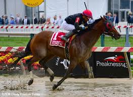 2018 Preakness Undercard Stakes Results