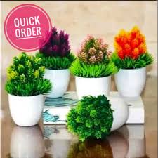 Tanaman hias bunga meja dapat kamu dapatkan di halaman ini. Pot Bunga Plastik Tanaman Hias Mungil Pot Dan Bunga Hiasan Meja Shopee Indonesia