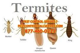 Our pest control companies are top rated for pest coverage, reviews, and pricing so you can choose a. Best Pest Control Milestone Manor Md