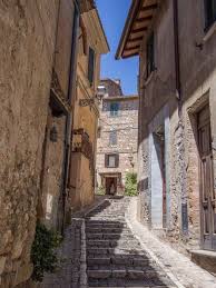 Discovering The Secrets Of Olive Oil On A Rome Day Trip Day Trips From Rome Rome Travel Travel Destinations Italy