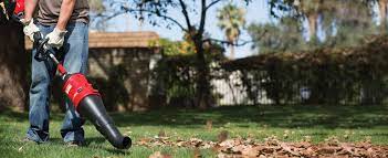 Works great for all debris on sidewalks and driveways. Trimmerplus Troy Bilt Us