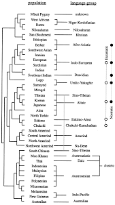 Genes Peoples And Languages Pnas