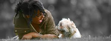 We cherish them as entertaining companions, and we love them deeply for the joy they bring to our lives. Why Dogs Are The Best Why To Get A Dog Purina