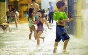 Maybe you would like to learn more about one of these? Things To Do In Sheboygan Wi Archives Blue Harbor Resort