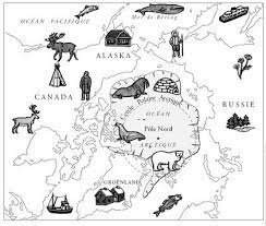 la vie des animaux du pole nord sud de l arctique polaires dessiner images avec couleurs