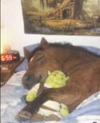 horse with shrek