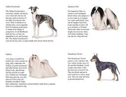 Write in 200 words or more about the care, feeding, and housing of your pet. Dog Care Merit Badge Requirements Edukasi News