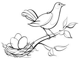 Attract birds by offering the best nesting material that will encourage them to build nests in your backyard. Sketch Of Bird Nest Coloring Pages Best Place To Color Bird Sketch Coloring Pages Bee Coloring Pages