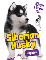 Download any of them for free. Siberian Husky Puppies Ebook By Emmie Chang 9781948052450 Rakuten Kobo Greece
