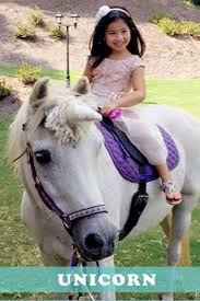 A unicorn, pony ride or petting zoo rental is an excellent option for parties with children 12 & younger (85lb or less). Rent Birthday Ponies In Los Angeles Fun Factory Parties