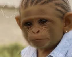 🇲🇽🥈 ¡Histórico para México! Uziel Muñoz, de Chihuahua, hizo historia en  el Mundial de Atletismo 2025 al ganar medalla de plata en lanzamiento de  bala, ¡la primera medalla de México en esta