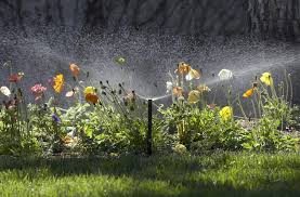 One director currently runs the company: Gartenbewasserung Gartenarbeiten In Koln Frank Hoffmann