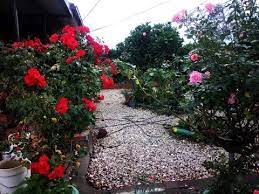 Garden tourism is a type of niche tourism involving visits or travel to botanical gardens and places which are significant in the history of gardening. Urban Home Garden Home Garden Flowers My Home Garden Tour Video Youtube