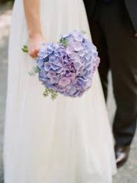Now your hydrangea is prepared for flower arrangements. Wedding Flowers From Twisted Willow Your Local Halifax Ns