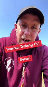 Tom Cantwell Stop Whistle